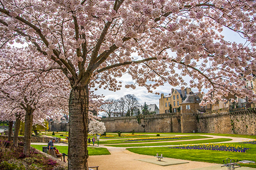 Vannes and the Gulf of Morbihan have more than enough to seduce you! 1615541909 1615541909